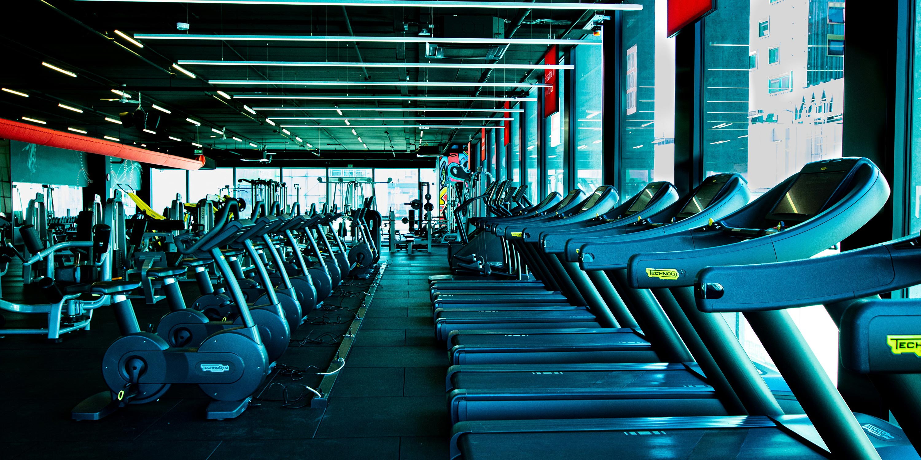 Spacious gym filled with treadmills and various workout machines by large windows.