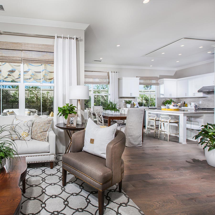 Open-plan living room and kitchen area with natural light, cozy seating, and indoor plants for ambiance.