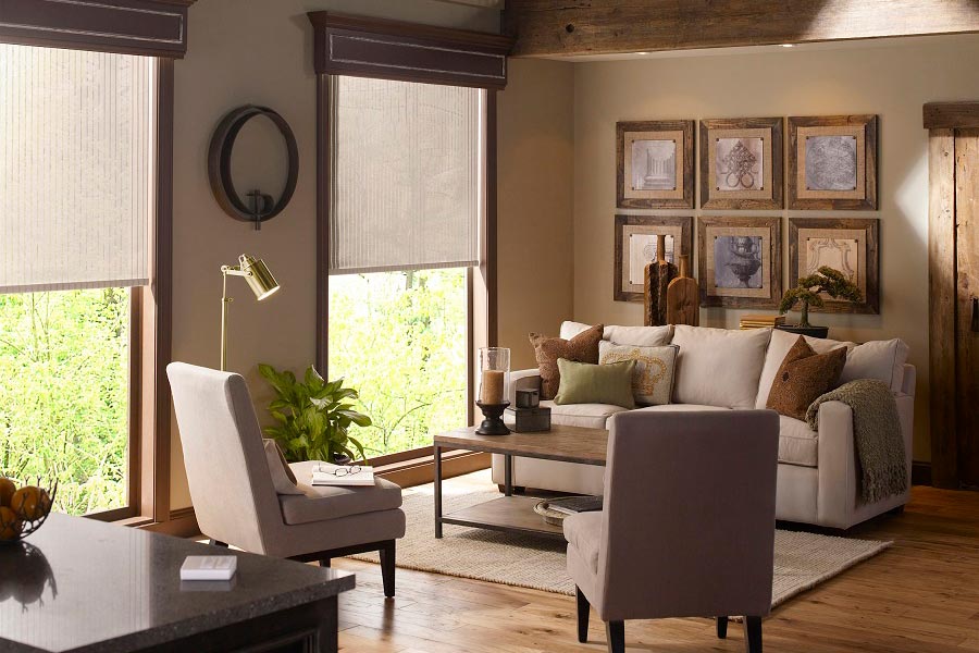 Cozy living room with natural light filtering through woven roller shades, soft furnishings, and rustic wall art.